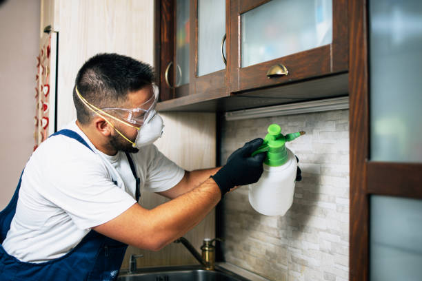 Best Pest Control Near Me  in Milroy, PA