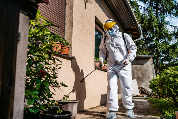 Best Wasp Removal Services  in Milroy, PA