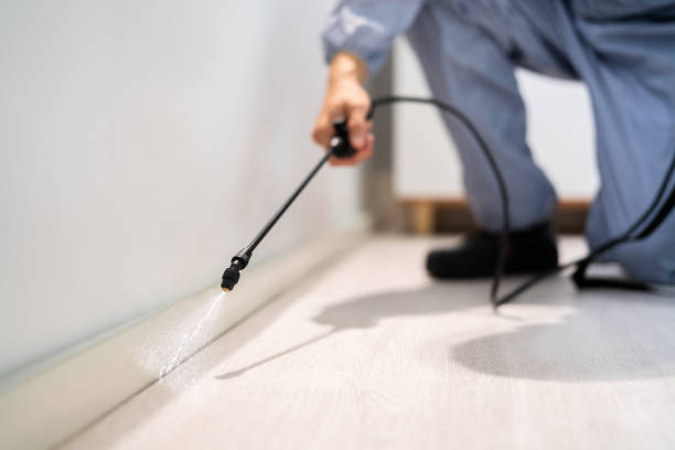 Best Termite Control Services  in Milroy, PA