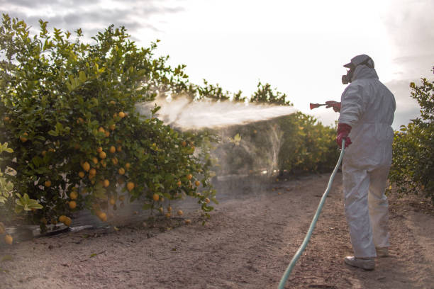 Best Affordable Pest Control Services  in Milroy, PA