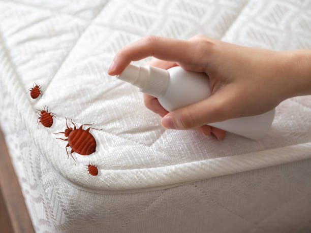 Best Best Pest Control Companies  in Milroy, PA